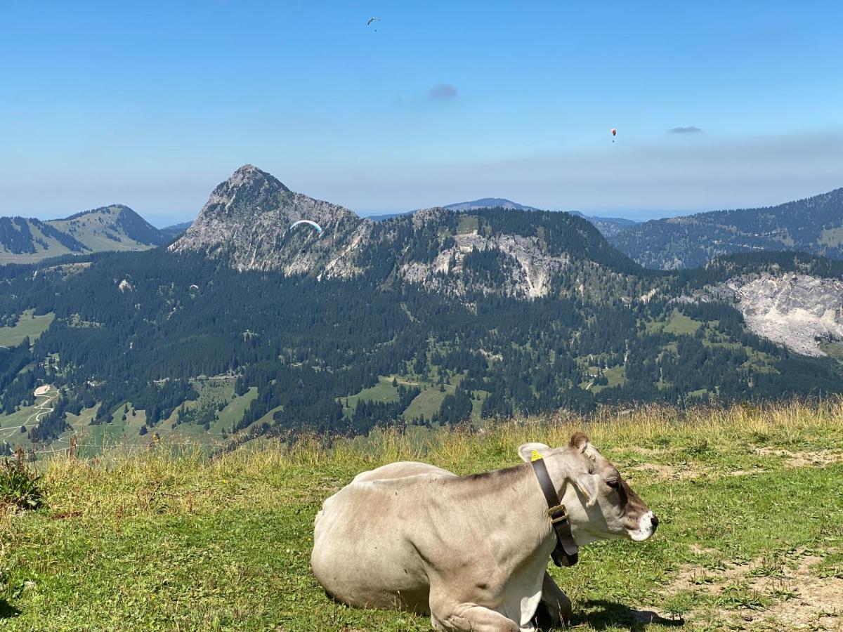 Apartamento Mountain Moments Tannheim - Familie Weber Exterior foto